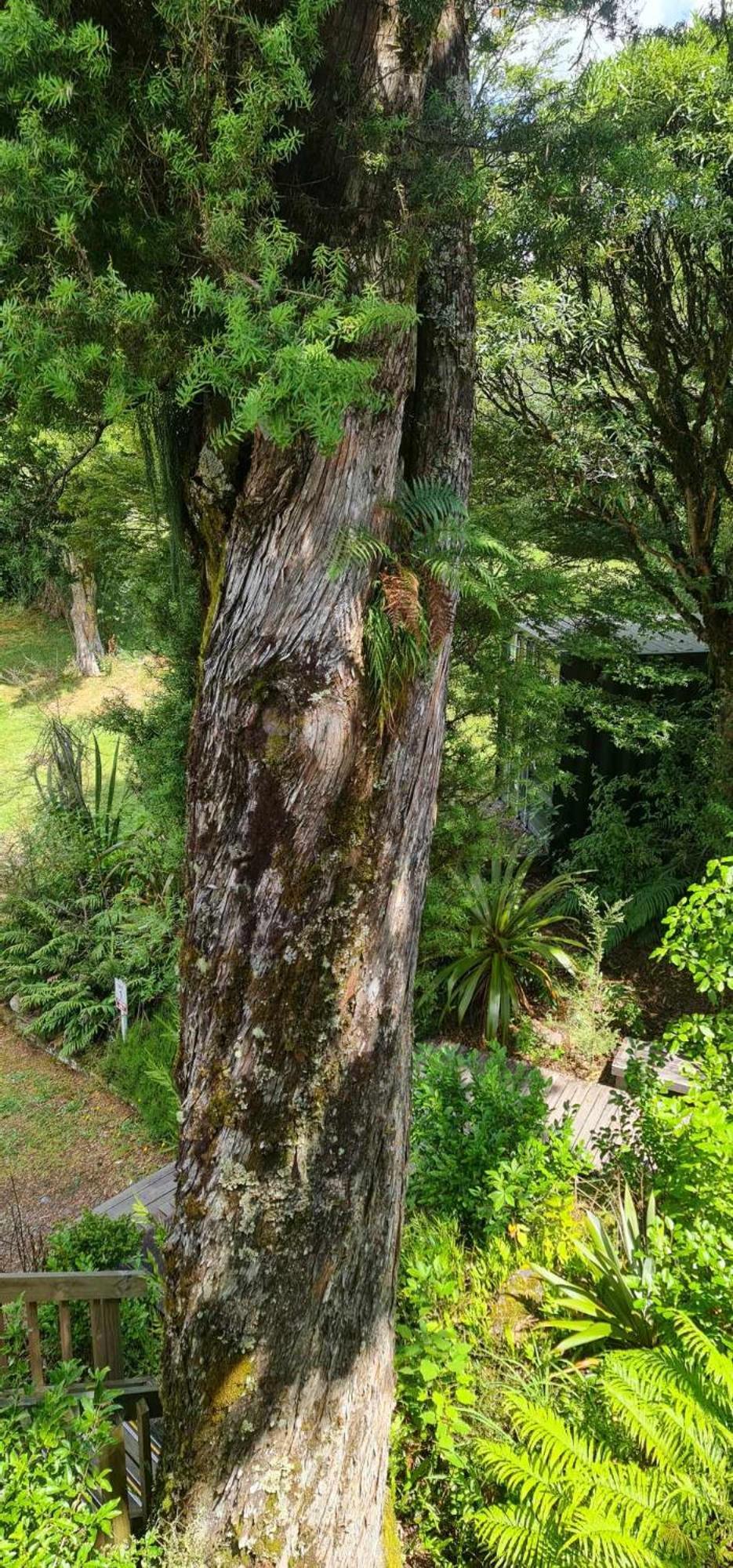 Alpine Chalets National Park Ngoại thất bức ảnh